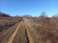 Kerepes Mezőgazdasági terület 2