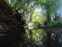 Verőce 家庭别墅 0