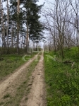 For sale agricultural area Hévízgyörk, 41192m2