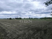 Pócsmegyer Mezőgazdasági terület - 15.000.000 Ft