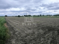 Pócsmegyer Mezőgazdasági terület 3