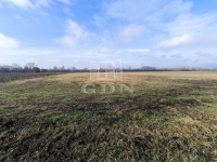 Dunakeszi Mezőgazdasági terület 1