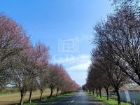 Berkenye Családi ház 0