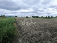 Pócsmegyer Mezőgazdasági terület 1