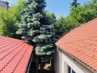 Budapest X. kerület Commercial - Commercial premises 8