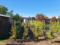 Ercsi Családi ház 11