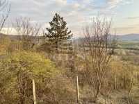 Budapest II. kerület Telek 1