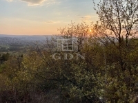 Budapest II. kerület Telek 0