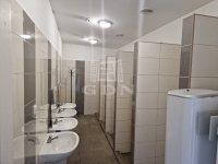 Kisapostag Ipari terület 21