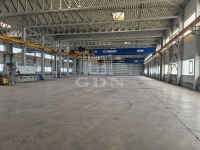 出租 库房 Kisapostag, 4000m2