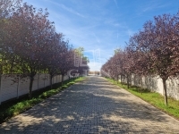 Kisapostag Raktár 12