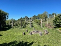 Balatonfüred 夏季别墅 26