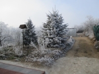 Pákozd Családi ház 7