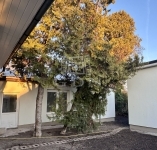 Eladó családi ház Budapest XXII. kerület, 50m2