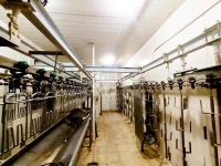 Inárcs Ipari terület 8