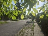 Budapest XVII. kerület Совмещенный дом 46