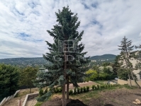 Budapest, II. kerület Lakás - 630.000.000 Ft