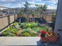 Budapest XIII. kerület Квартира (кирпичная) 39