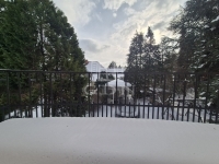 Budapest II. kerület 家庭别墅 19