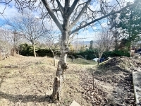 Szentendre Családi ház 18