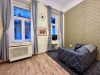 Budapest VII. kerület 公寓房（砖头） 1