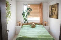 Budapest XIV. kerület Lakás (panel) 11