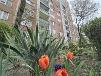 Budapest IV. kerület Квартира (панель) 11