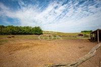 Siófok Mezőgazdasági terület 57