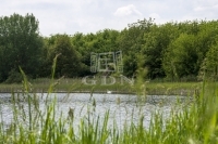 Siófok Mezőgazdasági terület 51