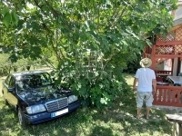 Ságvár 农业区域 5