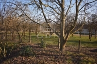 Nemesrempehollós Családi ház 5