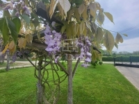 Kám Családi ház 15