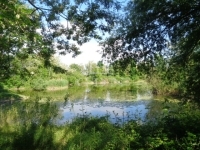 Püspökmolnári Családi ház 4