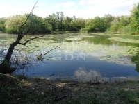 Püspökmolnári Telek 2