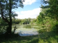 Püspökmolnári Telek 4