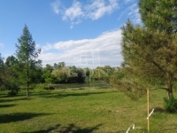 Püspökmolnári Telek 5