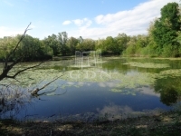 Püspökmolnári Telek 17