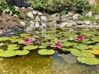 Szombathely Családi ház 22