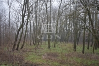 Döröske Mezőgazdasági terület 8