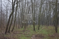 Döröske Mezőgazdasági terület 7