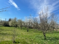 Csákánydoroszló Telek 1