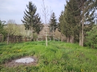 Vasvár Wohngrundstück 1