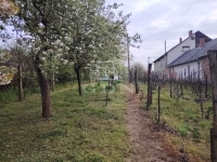 Vasvár Wohngrundstück 0