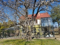 Tahitótfalu Családi ház 0