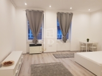 Budapest VIII. kerület 公寓房（砖头） 13