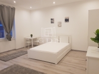 Budapest VIII. kerület 公寓房（砖头） 7