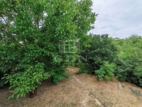 Isaszeg Családi ház 17