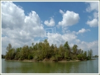 Délegyháza Telek 2