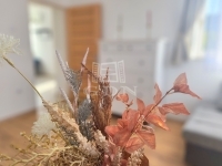 Zalakomár 家庭别墅 12