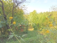 Zalaegerszeg Nyaraló 28